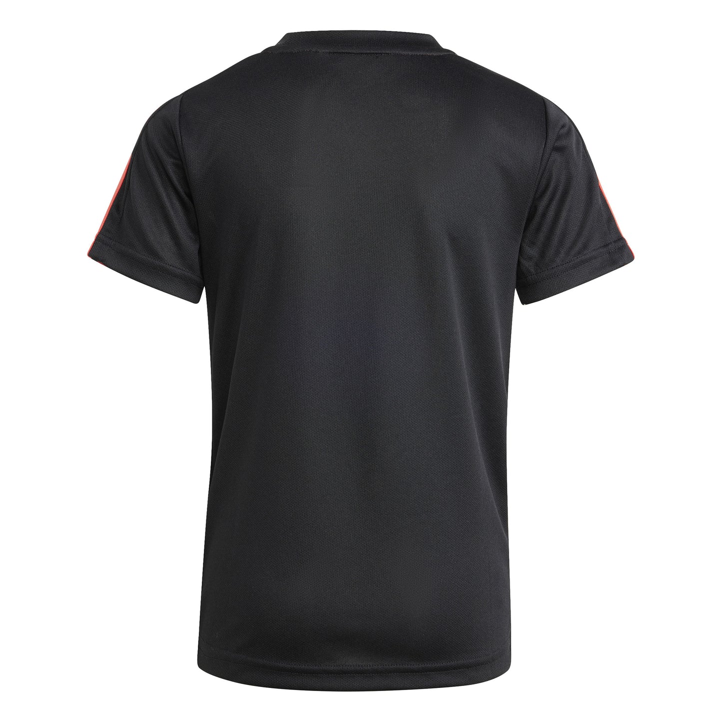 IB4849 ADIDAS APP LB DY SM T MALE