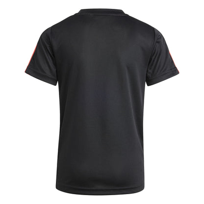 IB4849 ADIDAS APP LB DY SM T MALE