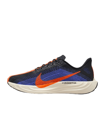FQ7262-008 CALZADO NIKE RUNNING PEGASUS
