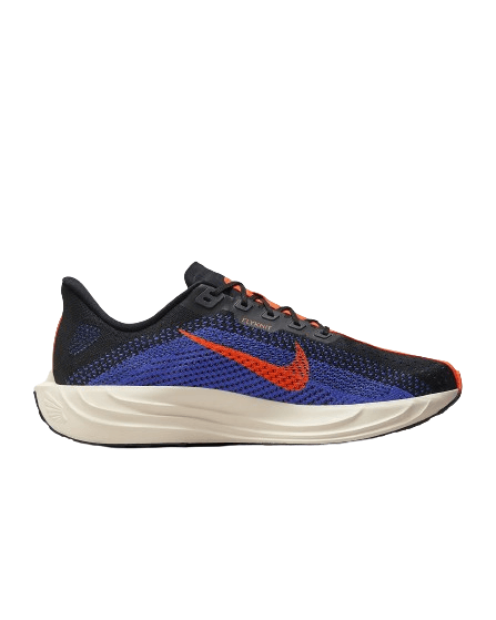 FQ7262-008 CALZADO NIKE RUNNING PEGASUS